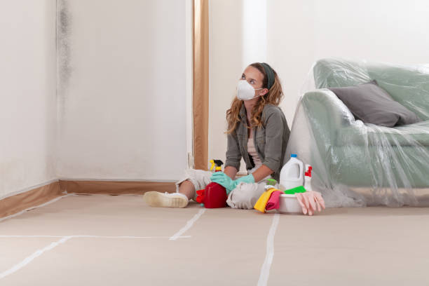 Reliable Mold Remediation contractor in Dunkirk, NY by 24 Hour Mold Removal